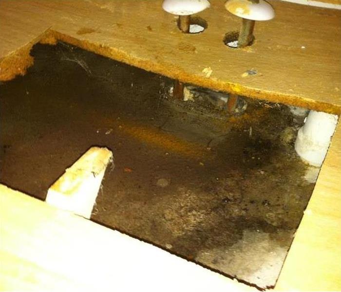 Water damage with wood warping in cabinet under kitchen sink in Beech Grove home