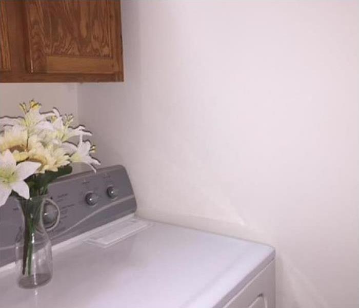 Wall beautifully cleaned of all mold in laundry room